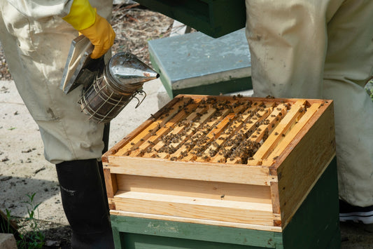a beekeeper inspecting a beehive that is covered in honey