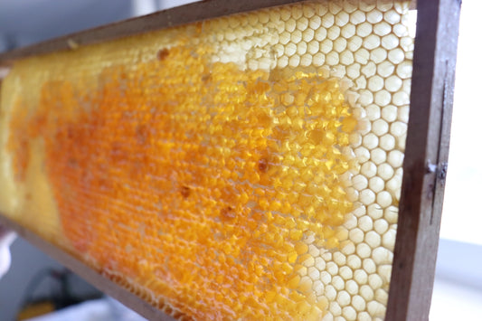 A close up of a beehive with a man in the background